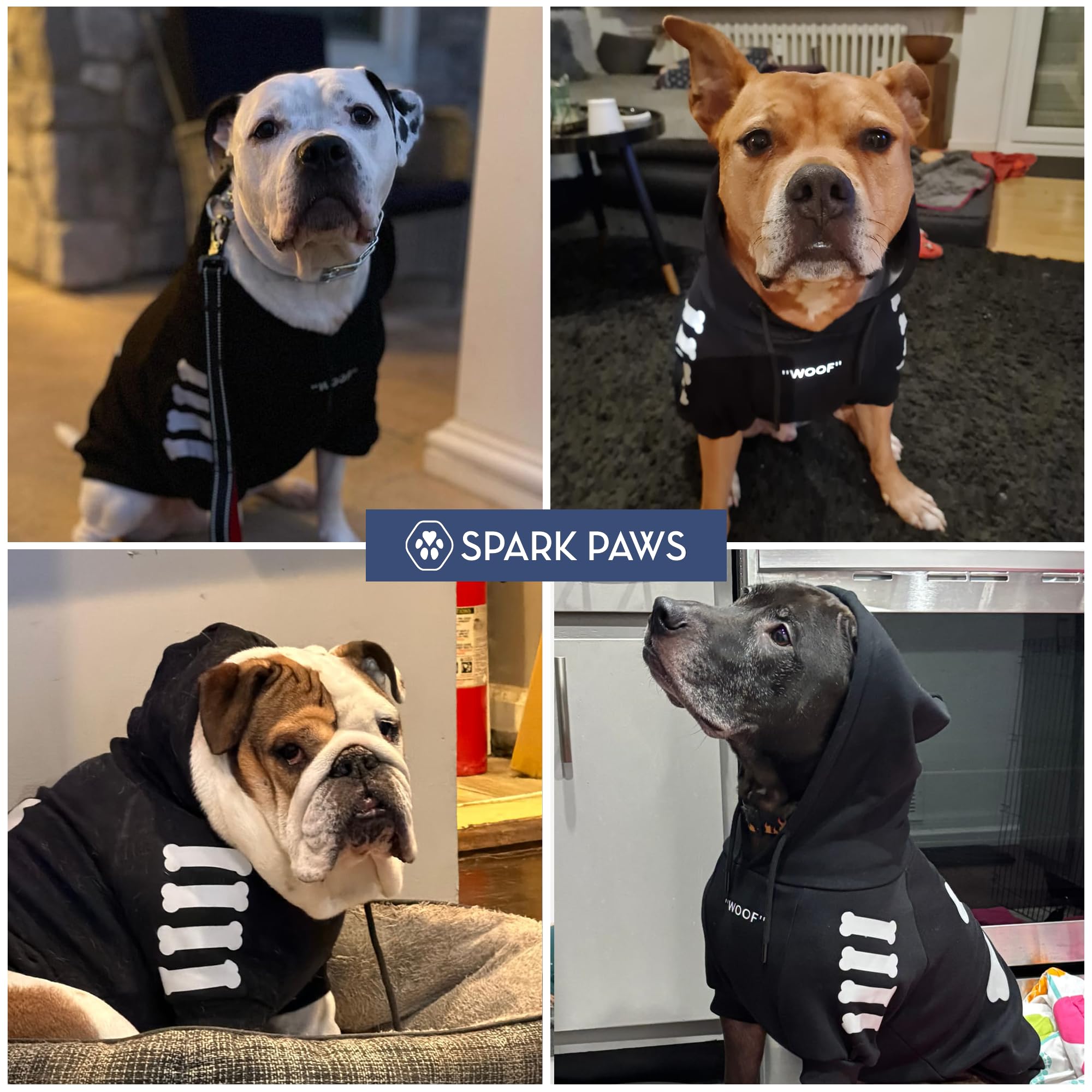 Spark Paws Dog Hoodie worn by a dog on a walk.