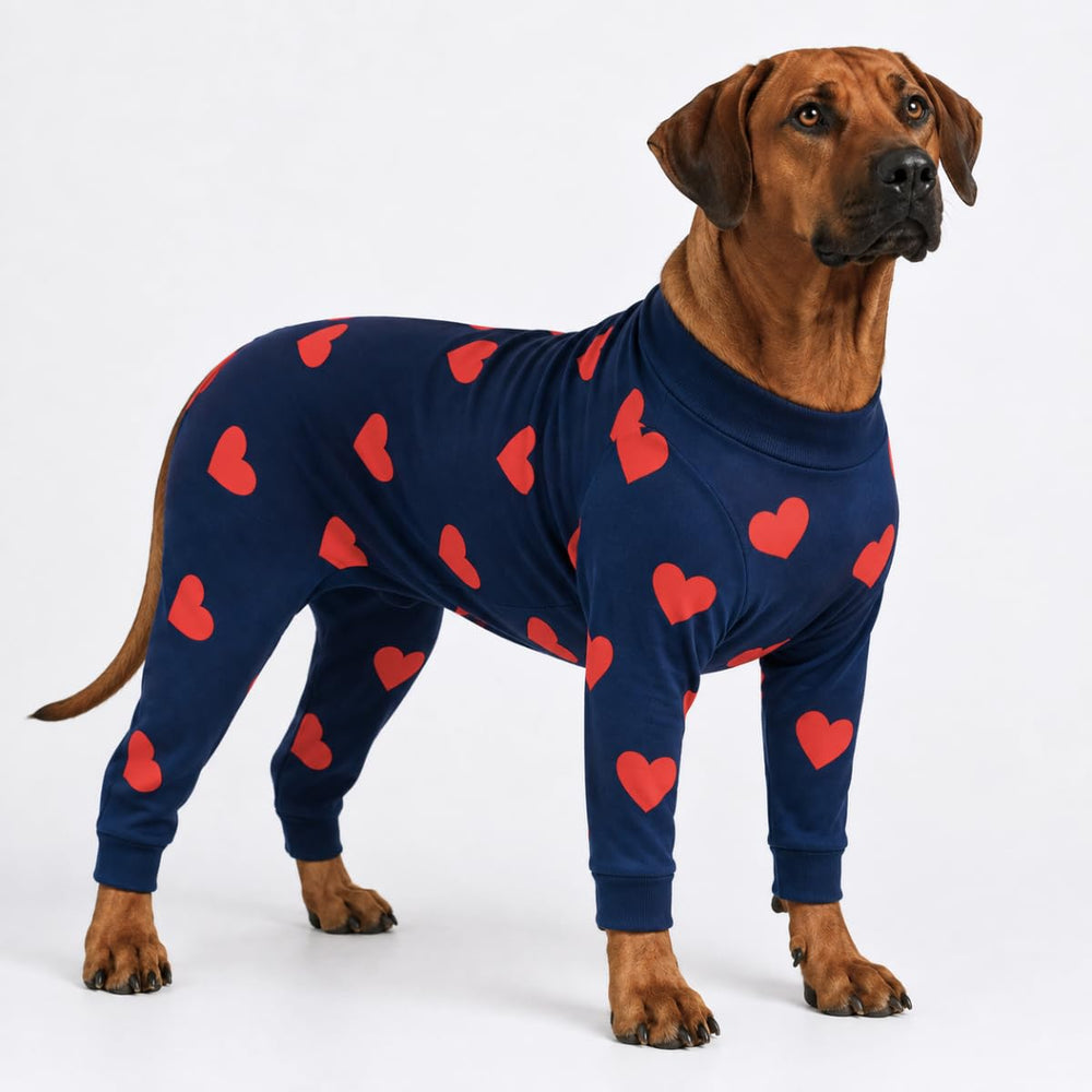 Spark Paws dog pajamas shown from the front with long sleeves and full legs.