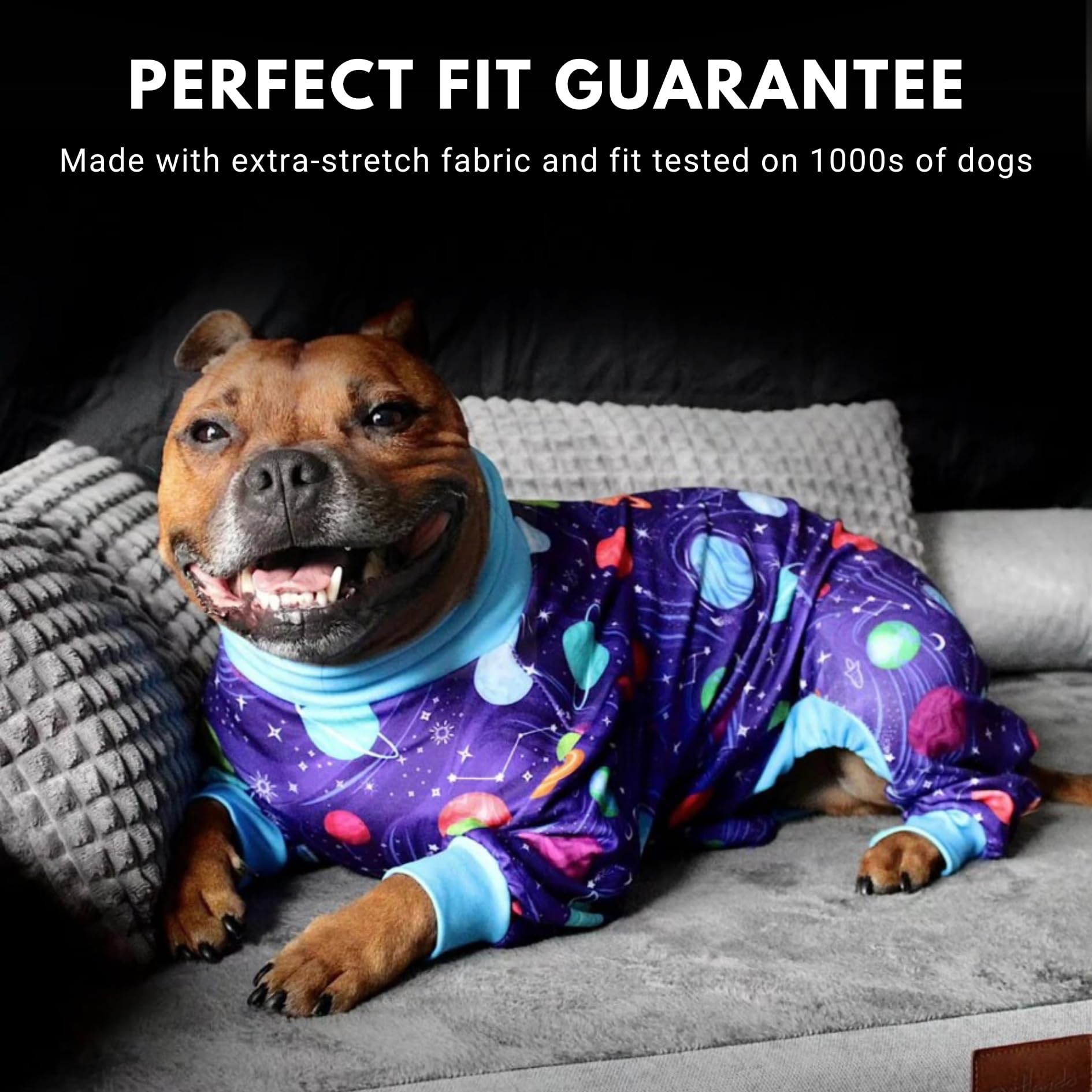 Spark Paws dog pajamas showing the deep V-shaped rear opening for potty breaks.