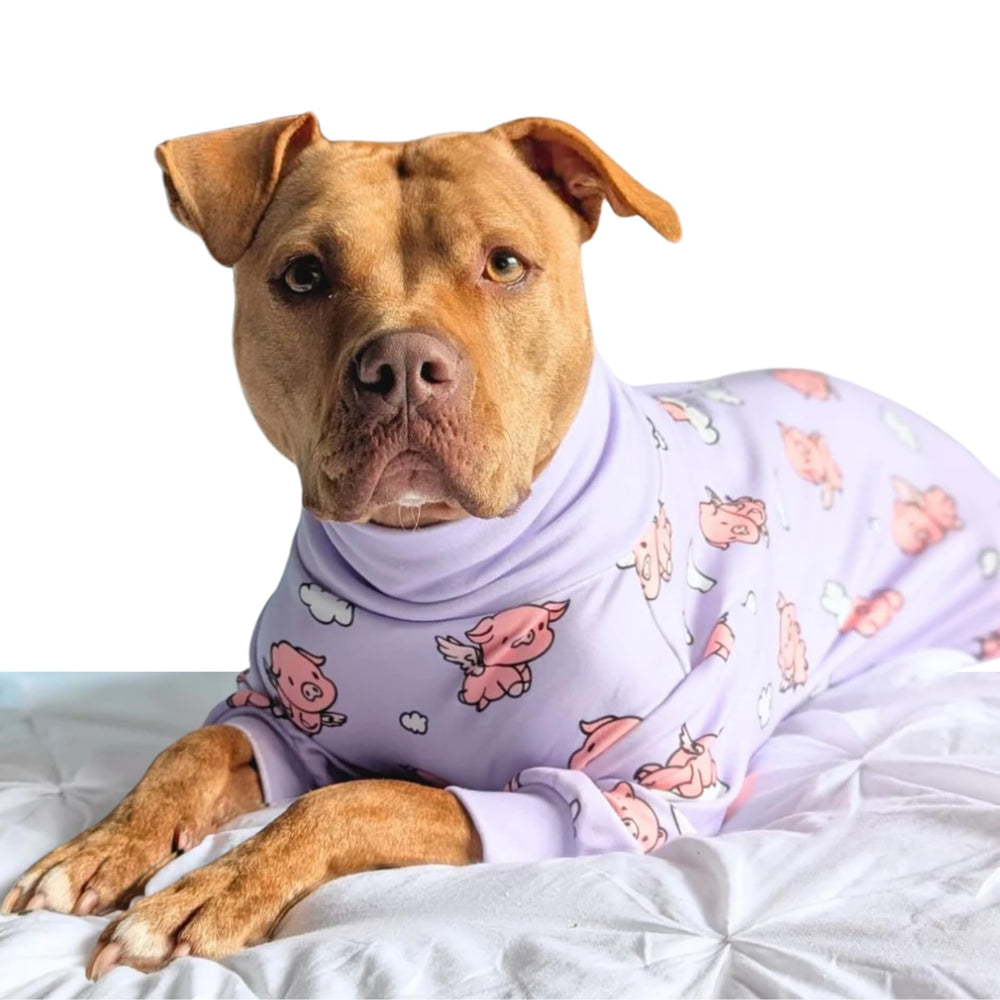 Spark Paws dog pajamas showing the deep V-cut rear.