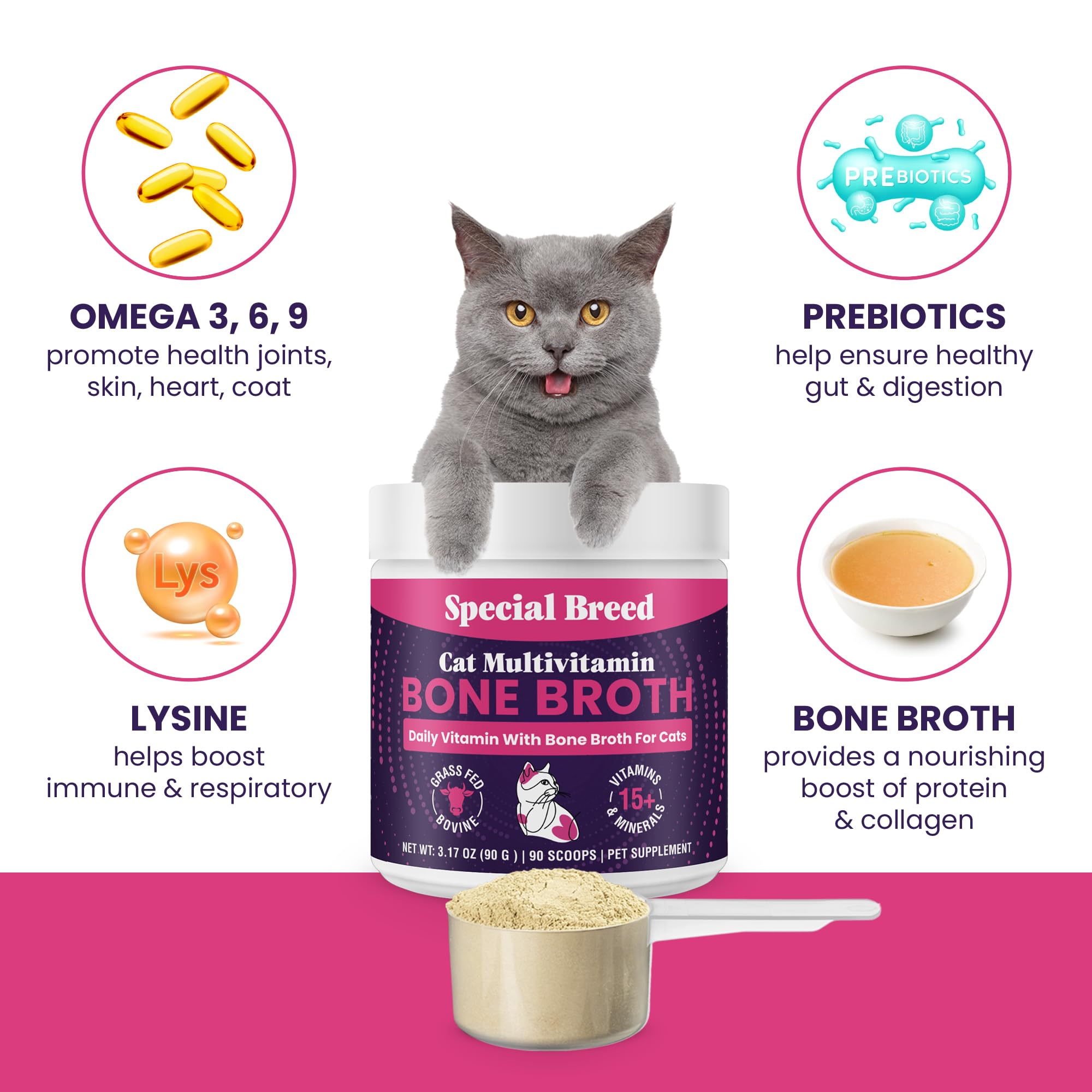 Special Breed Cat Multivitamin powder being prepared as liquid broth.
