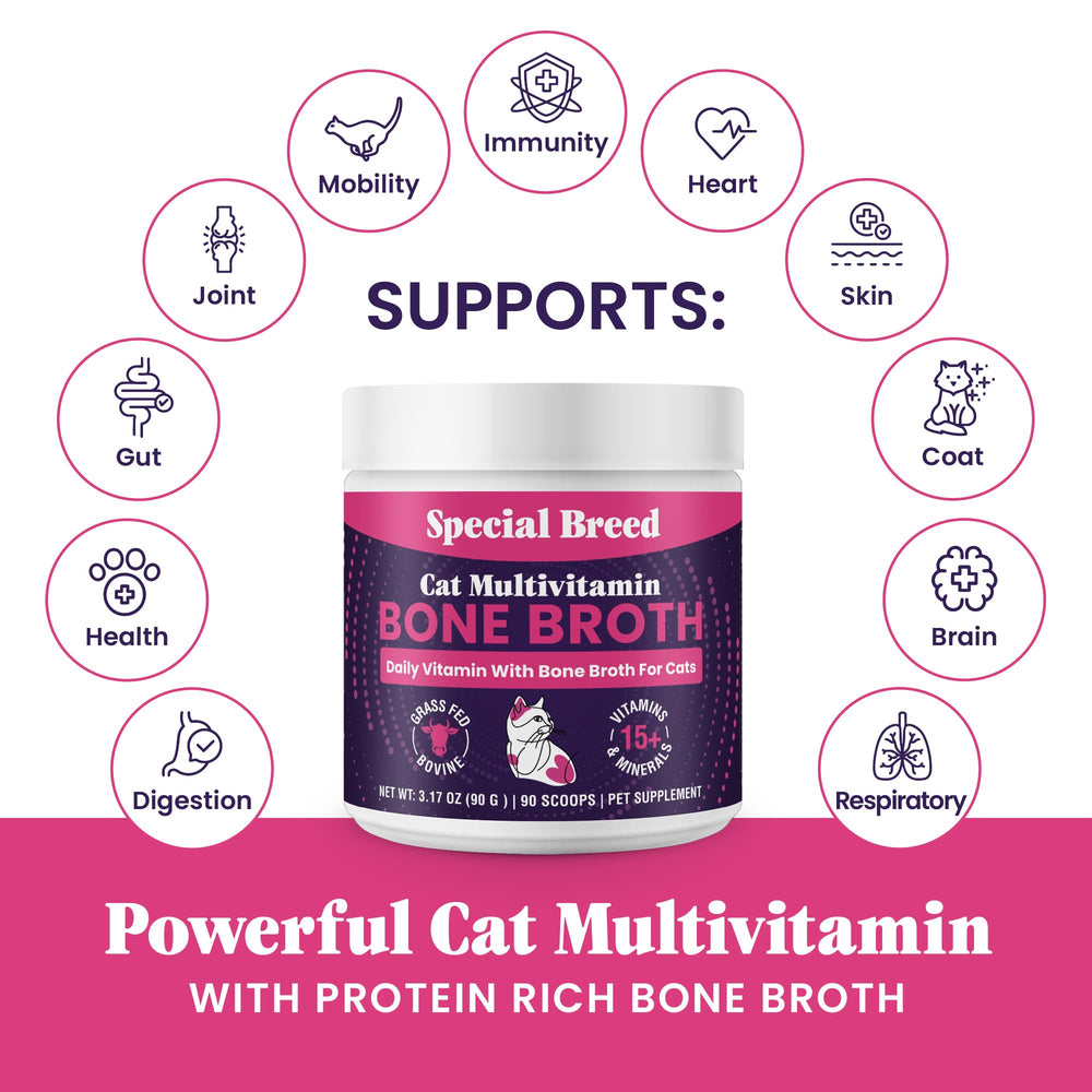 Special Breed Cat Multivitamin powder mixed into a cat’s food.