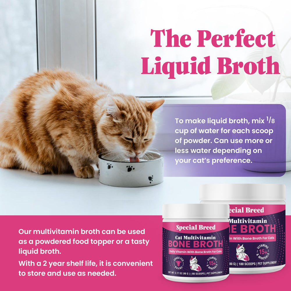 Close-up view of the powder in Special Breed Cat Multivitamin.