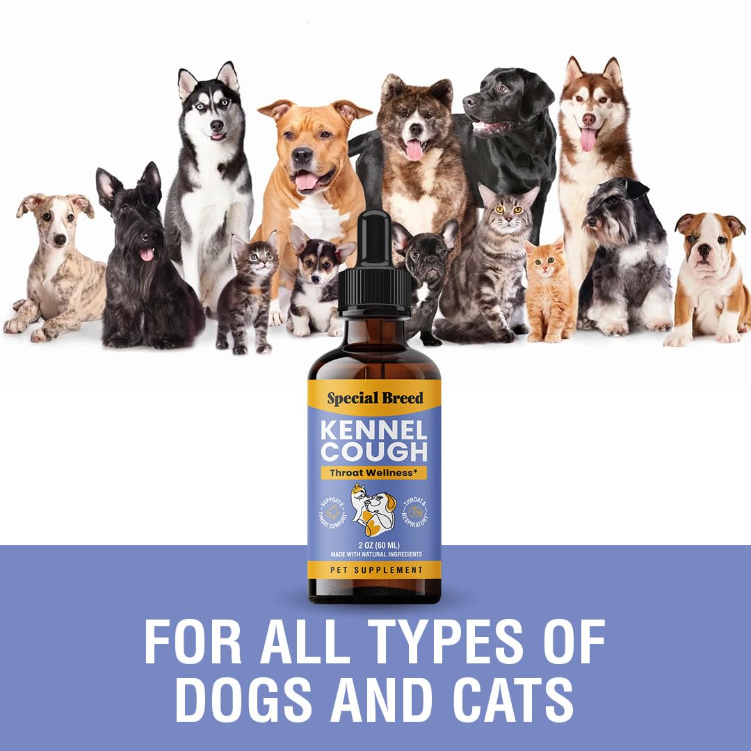 Special Breed Kennel Cough Support bottle shown with its back label visible.