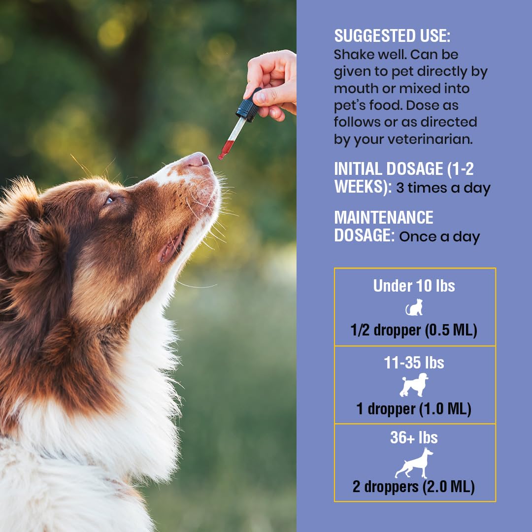 Special Breed Kennel Cough Support bottle shown from an alternate angle.
