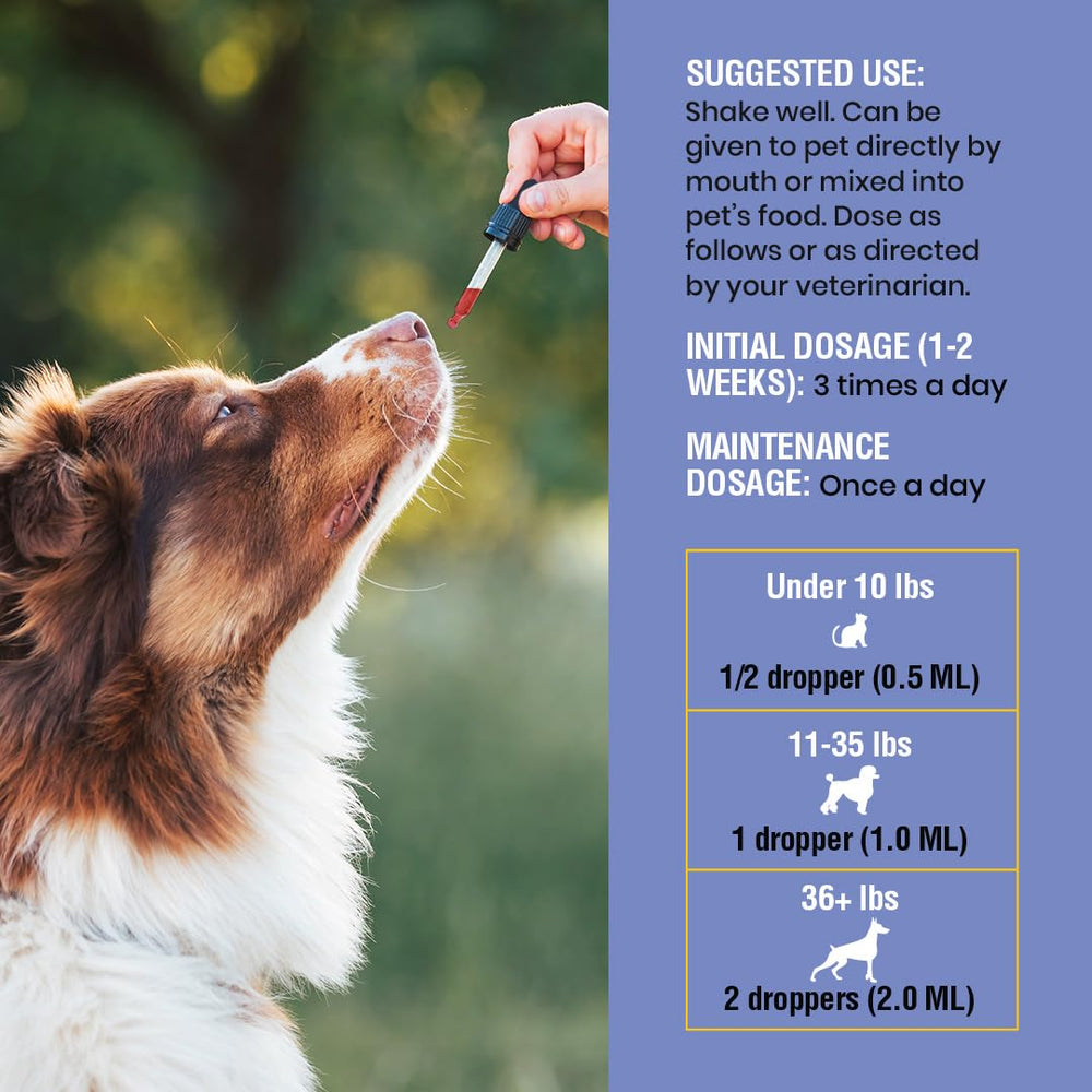 Special Breed Kennel Cough Support bottle shown from an alternate angle.