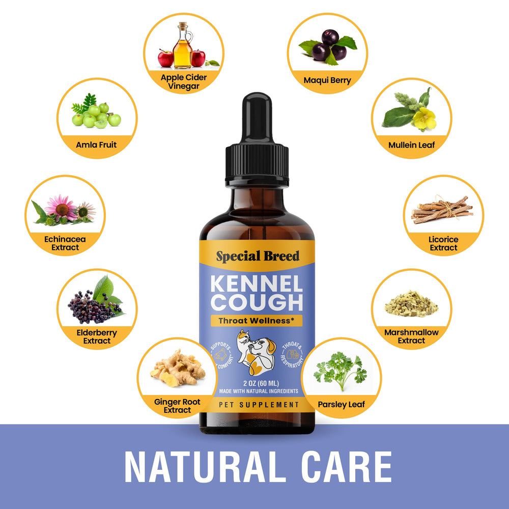 Special Breed Kennel Cough Support dropper shown in close-up.