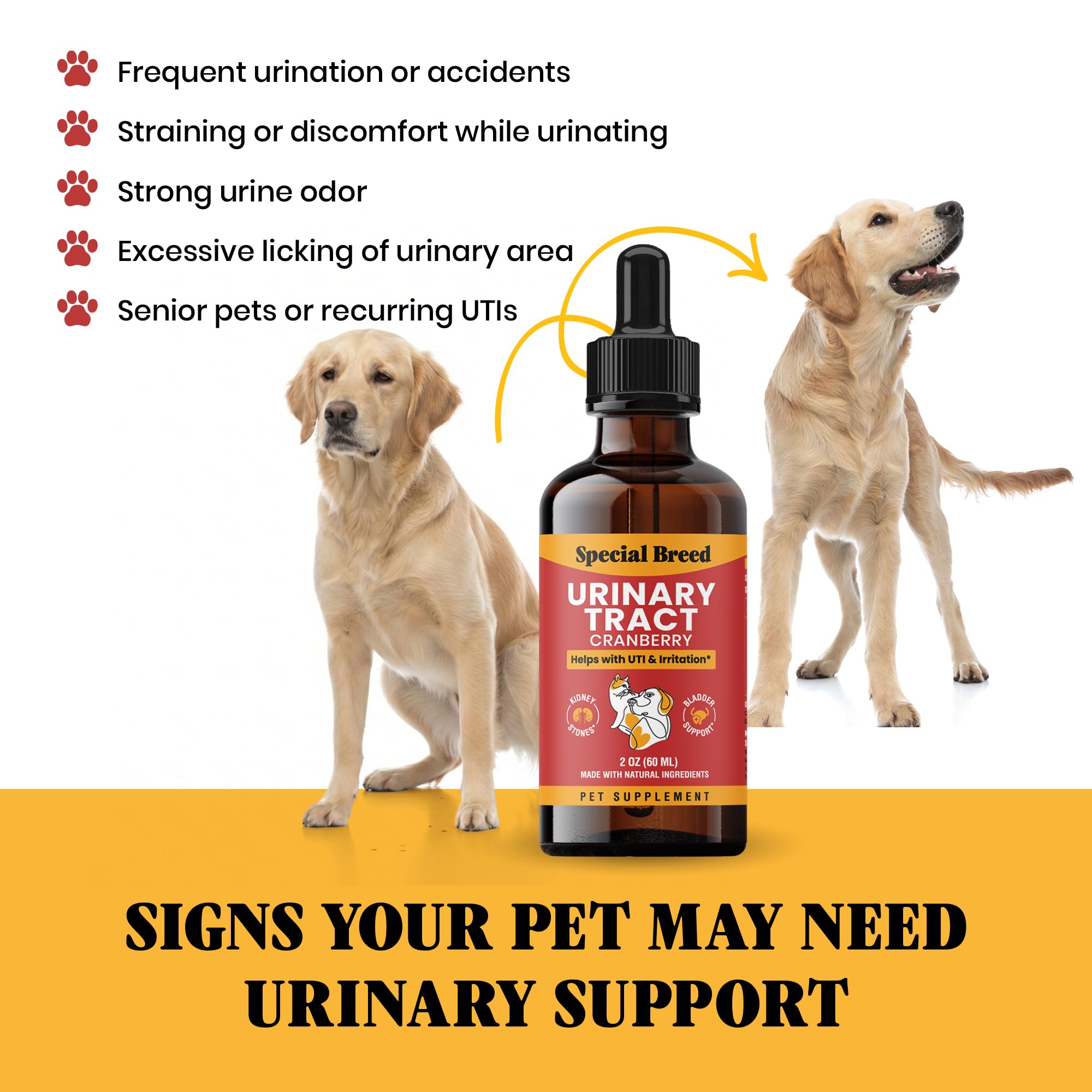 A cat receiving Special Breed urinary support drops.
