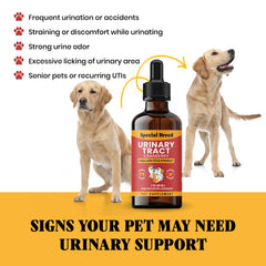 A cat receiving Special Breed urinary support drops.
