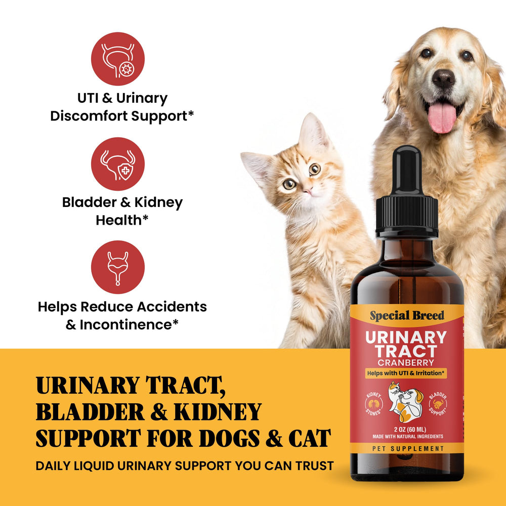 Special Breed urinary support drops with the cranberry-based formula in focus.
