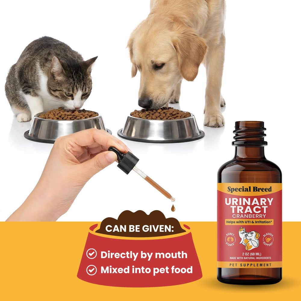 A dog receiving Special Breed urinary support drops.