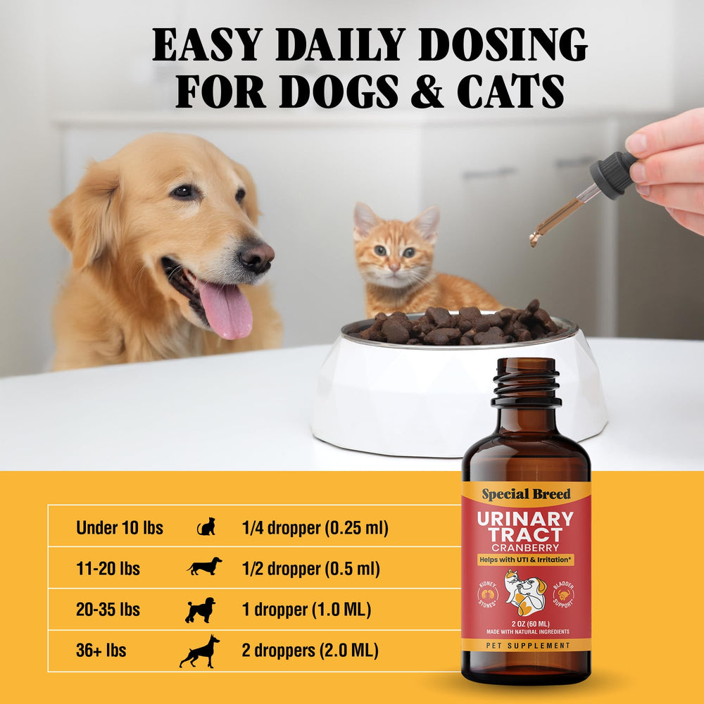 Special Breed urinary support drops being mixed into pet food.