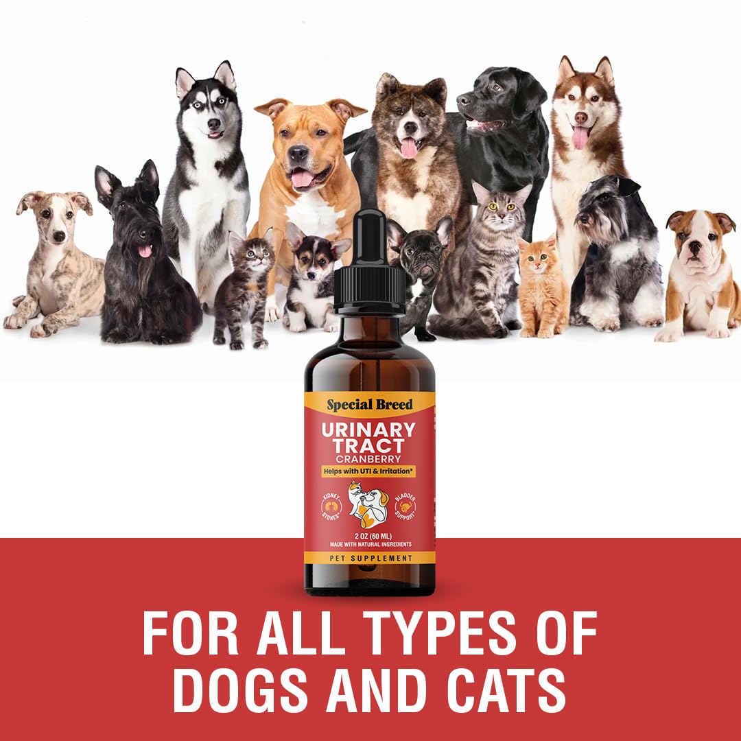 Special Breed urinary support drops with the USA manufacturing detail in focus.