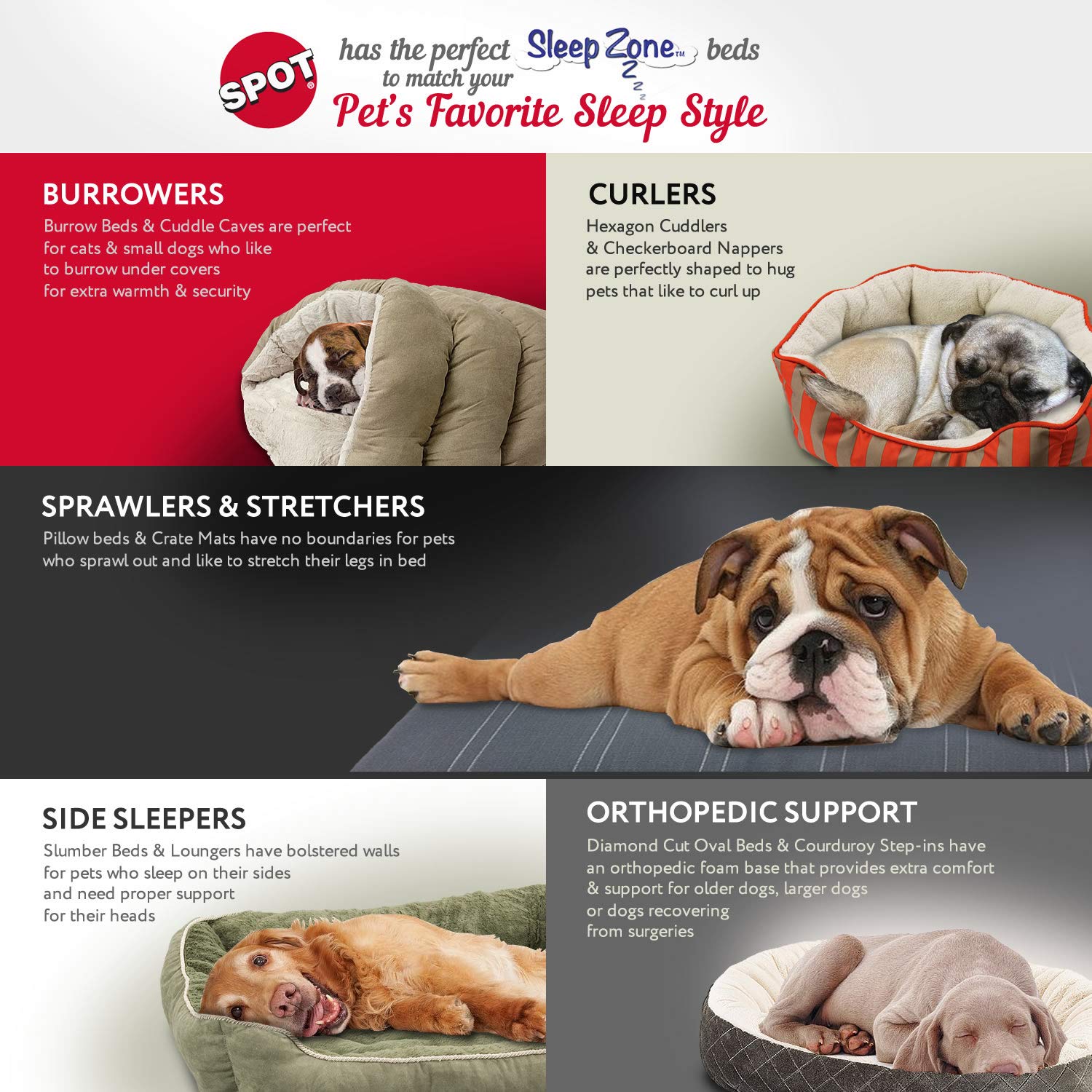 SPOT Sleep Zone small pet bed with a small pet resting inside.