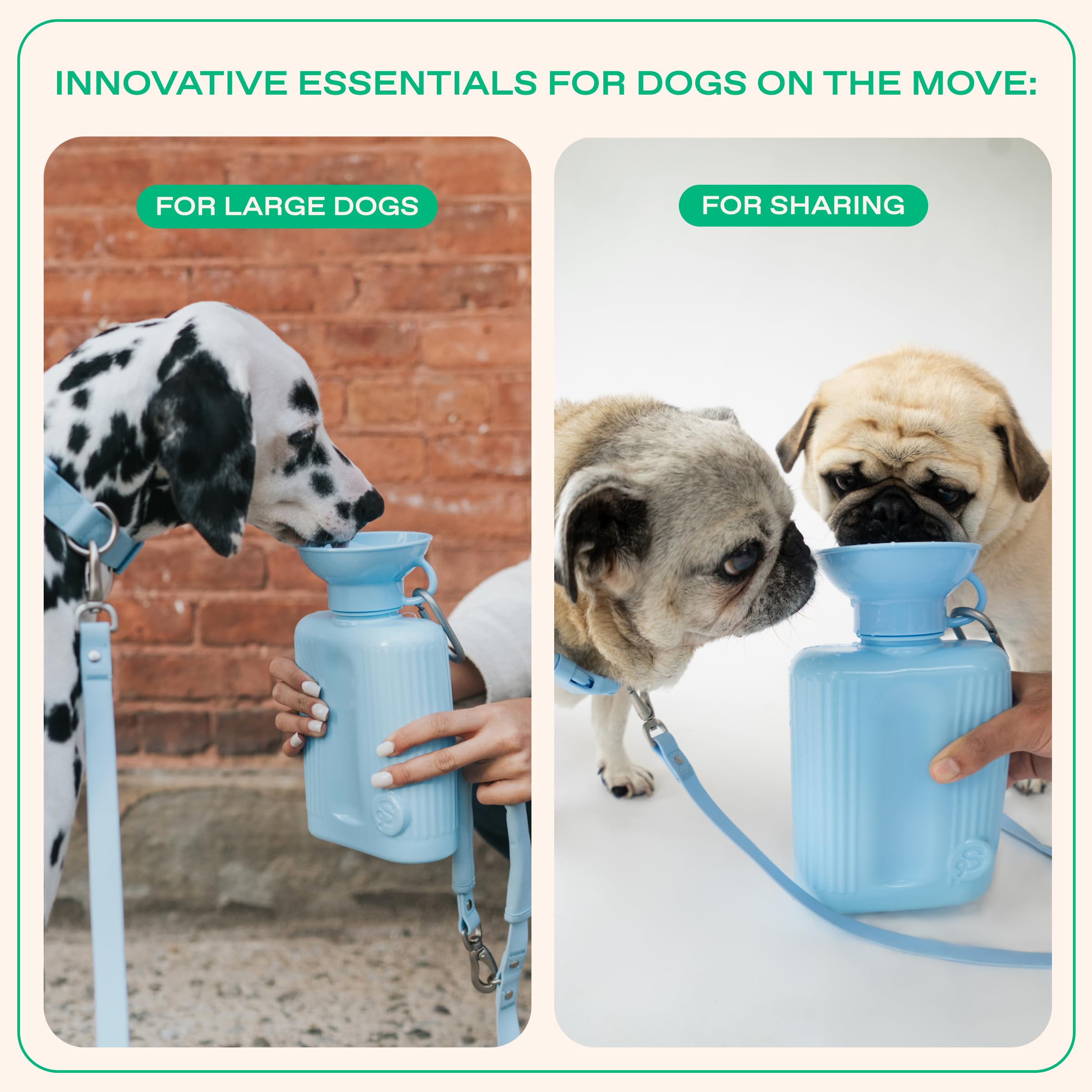 Springland Pets dog water bottle stored in a standard car cup holder.