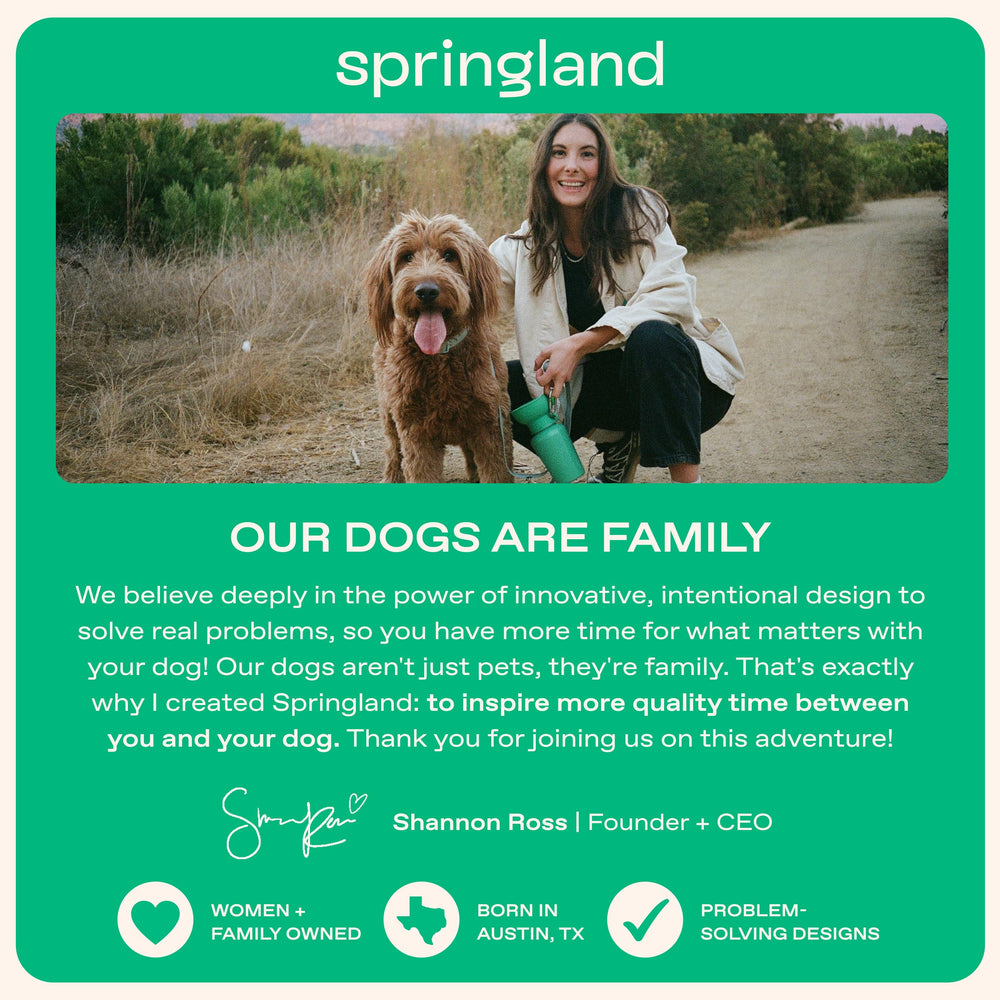 Springland Pets dog water bottle offering a dog a drink.