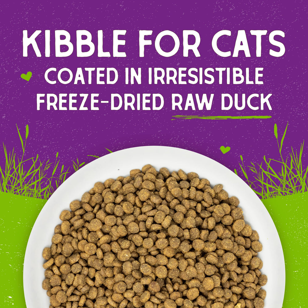 Stella & Chewy's Raw Coated Cat Food ingredient panel on the bag.