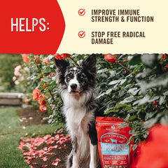 Stella & Chewy’s freeze-dried raw dog food shown as a topper for kibble.