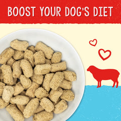 Stella & Chewy’s freeze-dried raw dog food shown in a close-up of its food texture.