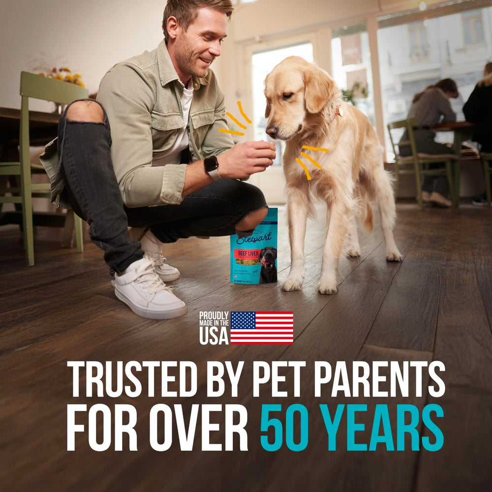 Stewart Freeze-Dried Dog Treats sprinkled over a pet's meal.