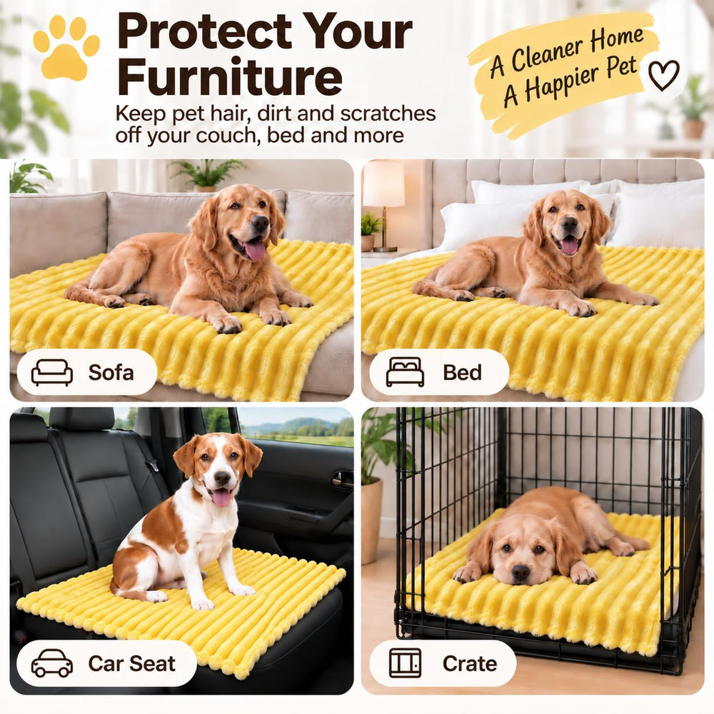 Stlemiko Yellow Dog Blanket covering a car seat for a pet.