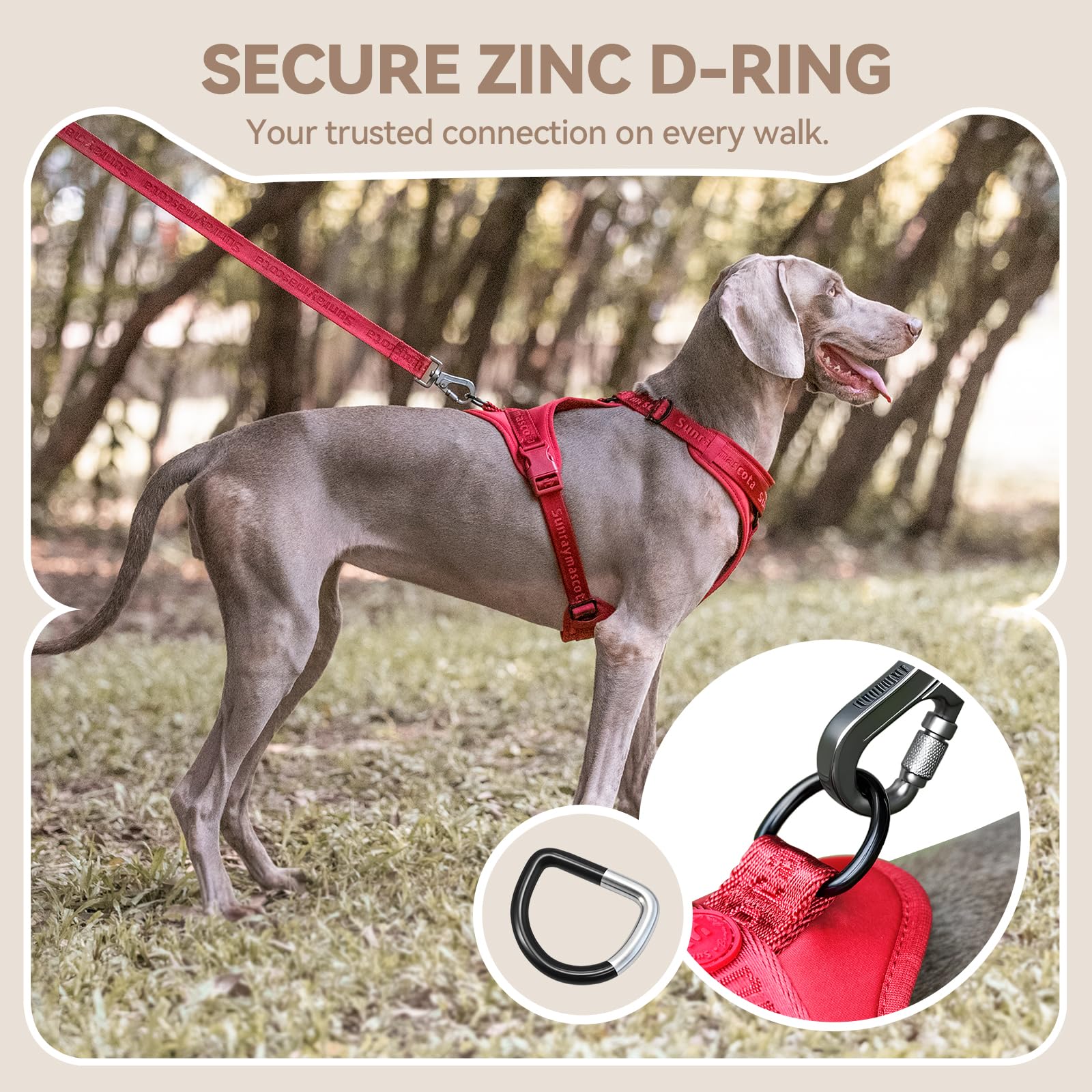 Sunraymascota dog harness detail showing its adjustable straps.