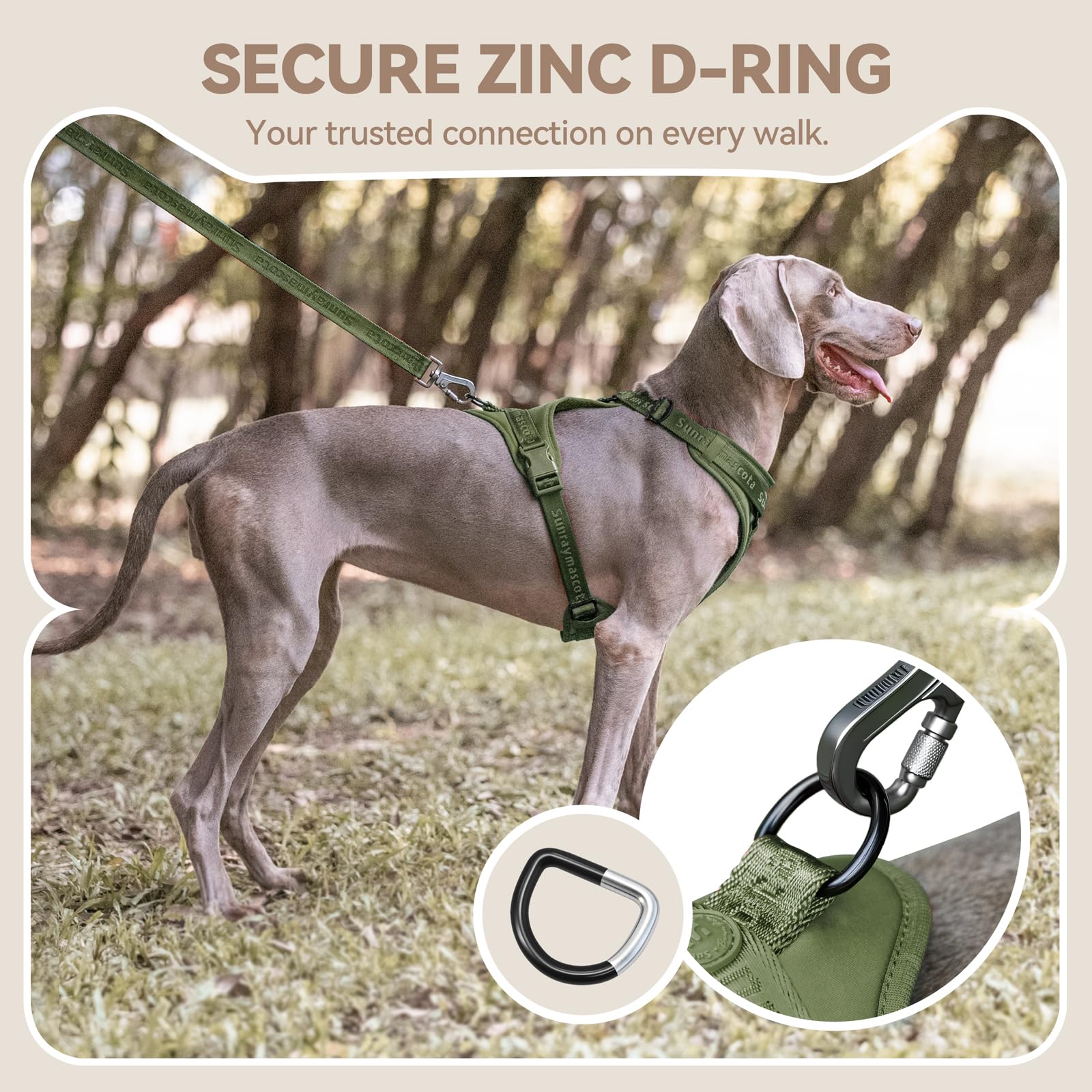 Sunraymascota Dog Harness close-up showing the adjustable straps.
