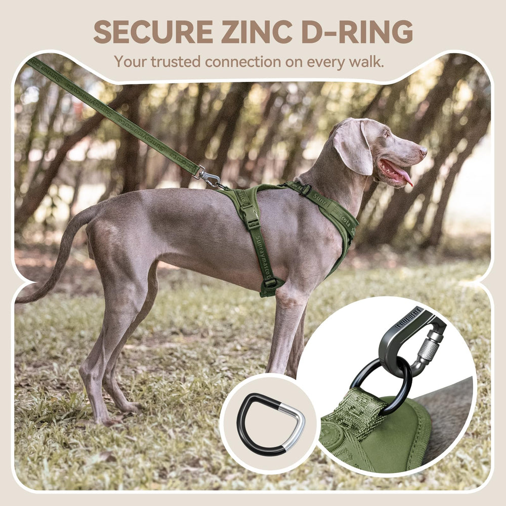 Sunraymascota Dog Harness close-up showing the adjustable straps.