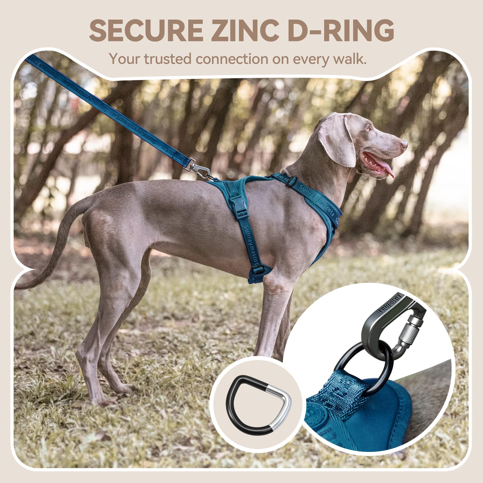 Sunraymascota Dog Harness close-up showing the adjustable straps.