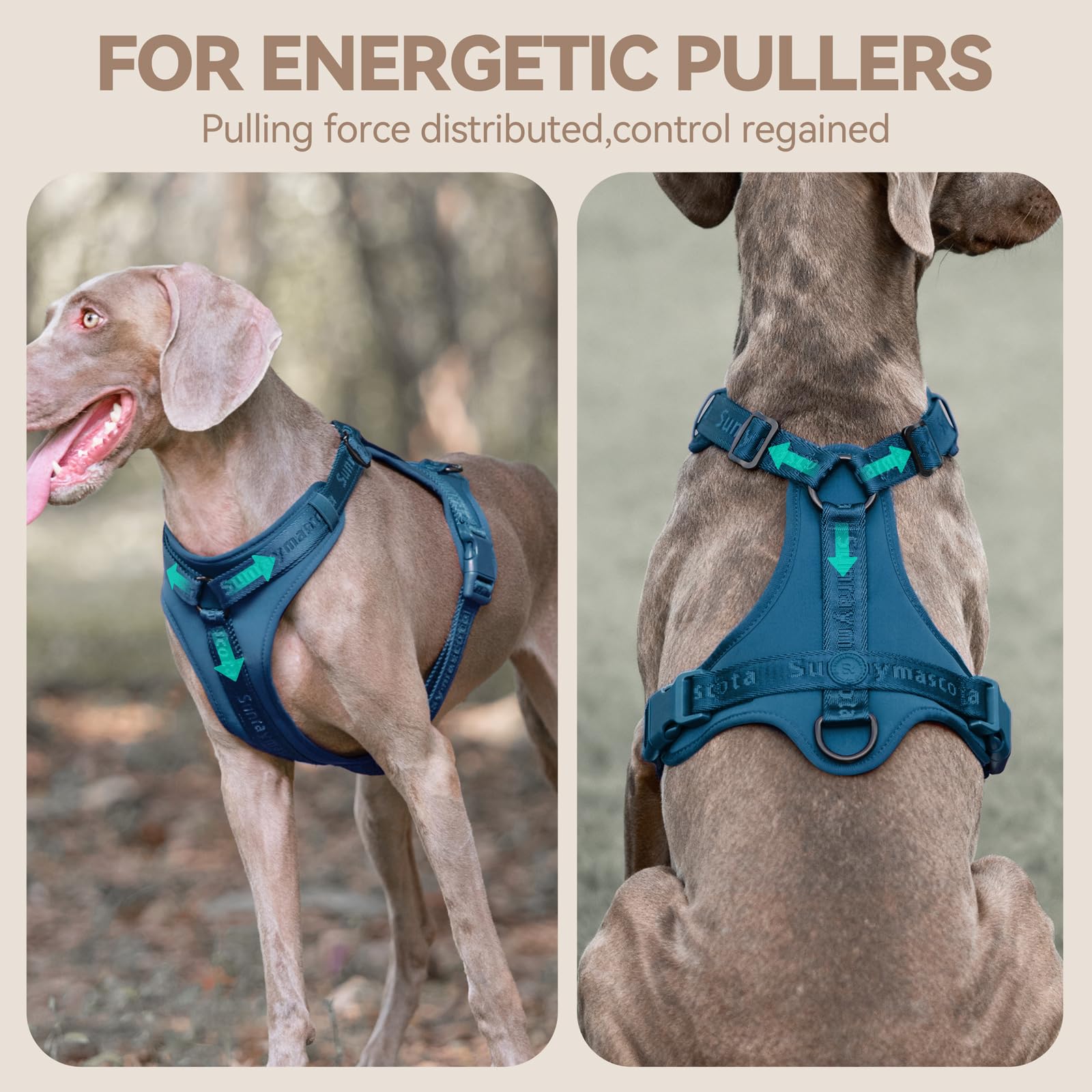 Sunraymascota Dog Harness shown from the back to display its vest design.
