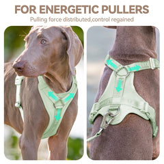Sunraymascota dog harness shown from the back.