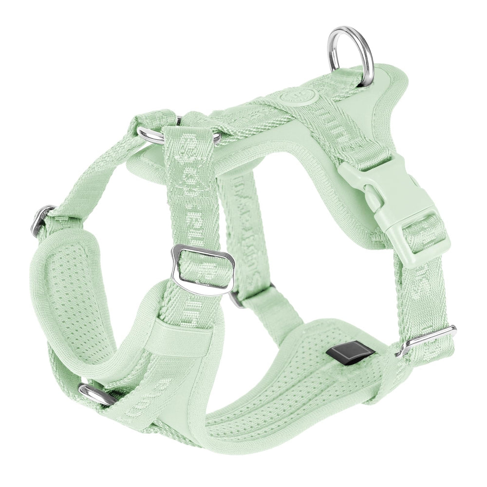 Sunraymascota dog harness shown from the front.