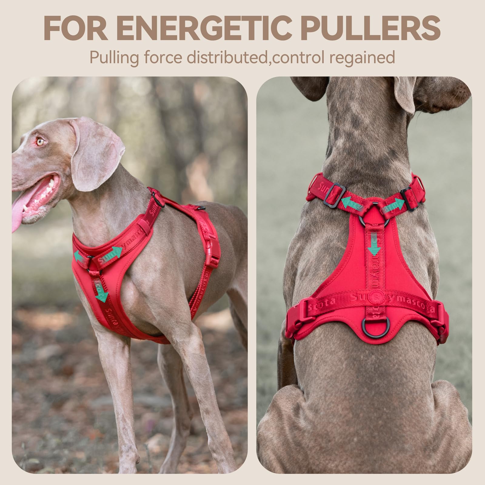 Sunraymascota dog harness close-up showing its flexible Lycra fabric.