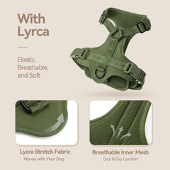 Sunraymascota Dog Harness close-up highlighting its stretchy Lycra fabric.