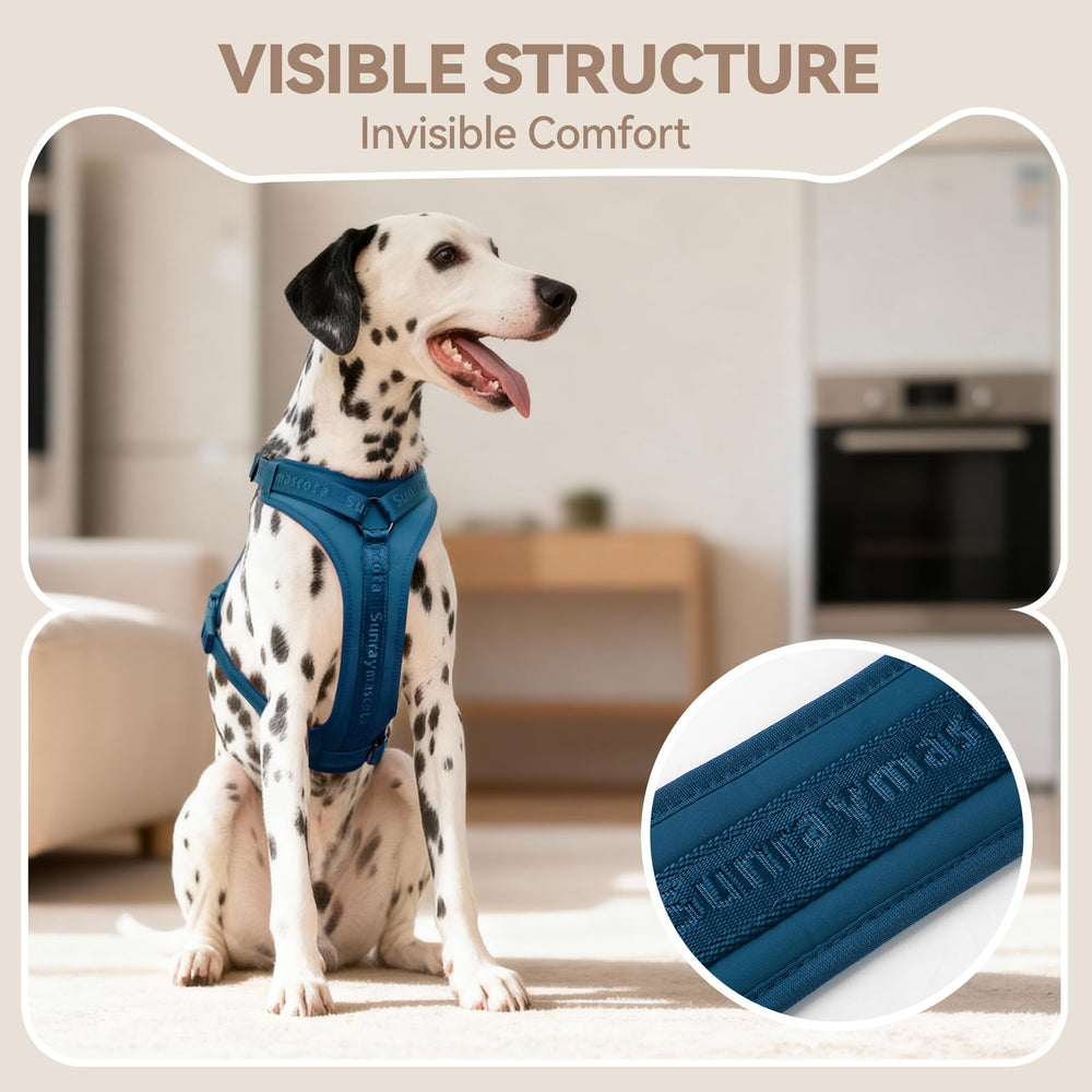 Sunraymascota Dog Harness detail showing its breathable mesh panels.