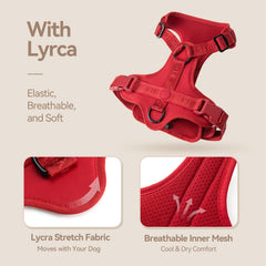 Sunraymascota dog harness detail showing its breathable mesh panels.