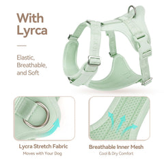 Sunraymascota dog harness shown at a side angle.