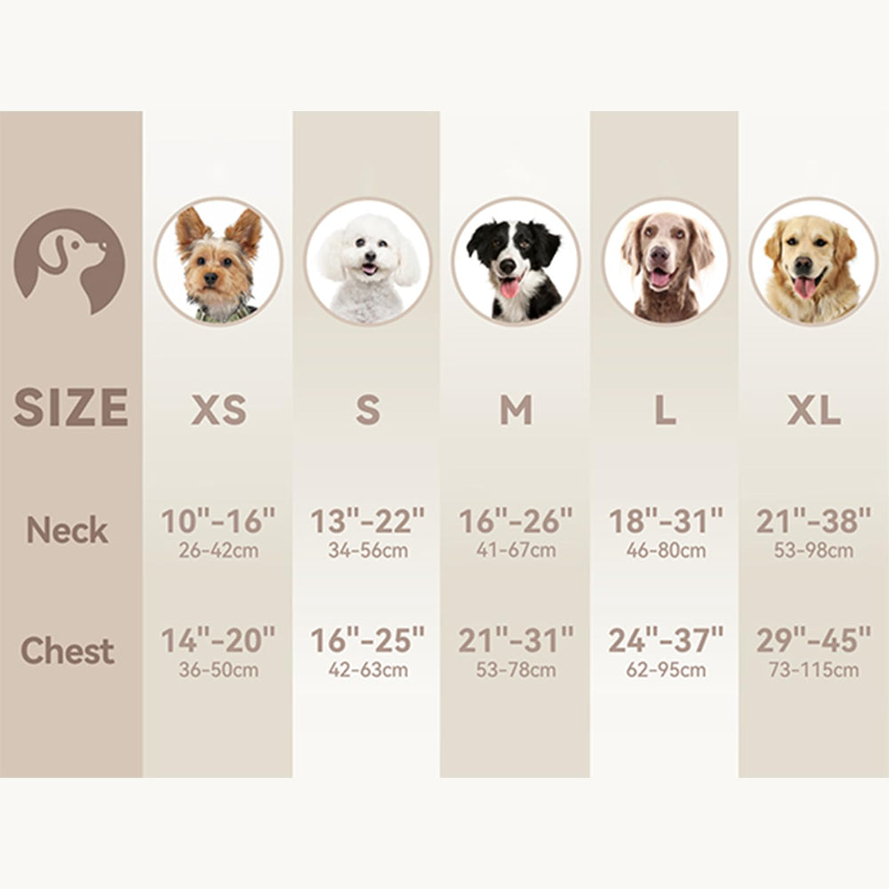 Sunraymascota Dog Harness shown being worn by a dog during a walk.