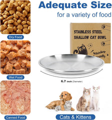 Supet cat plate shown during a cat's mealtime.