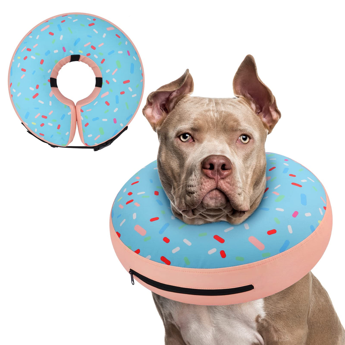 Supet inflatable dog recovery collar shown from the front.