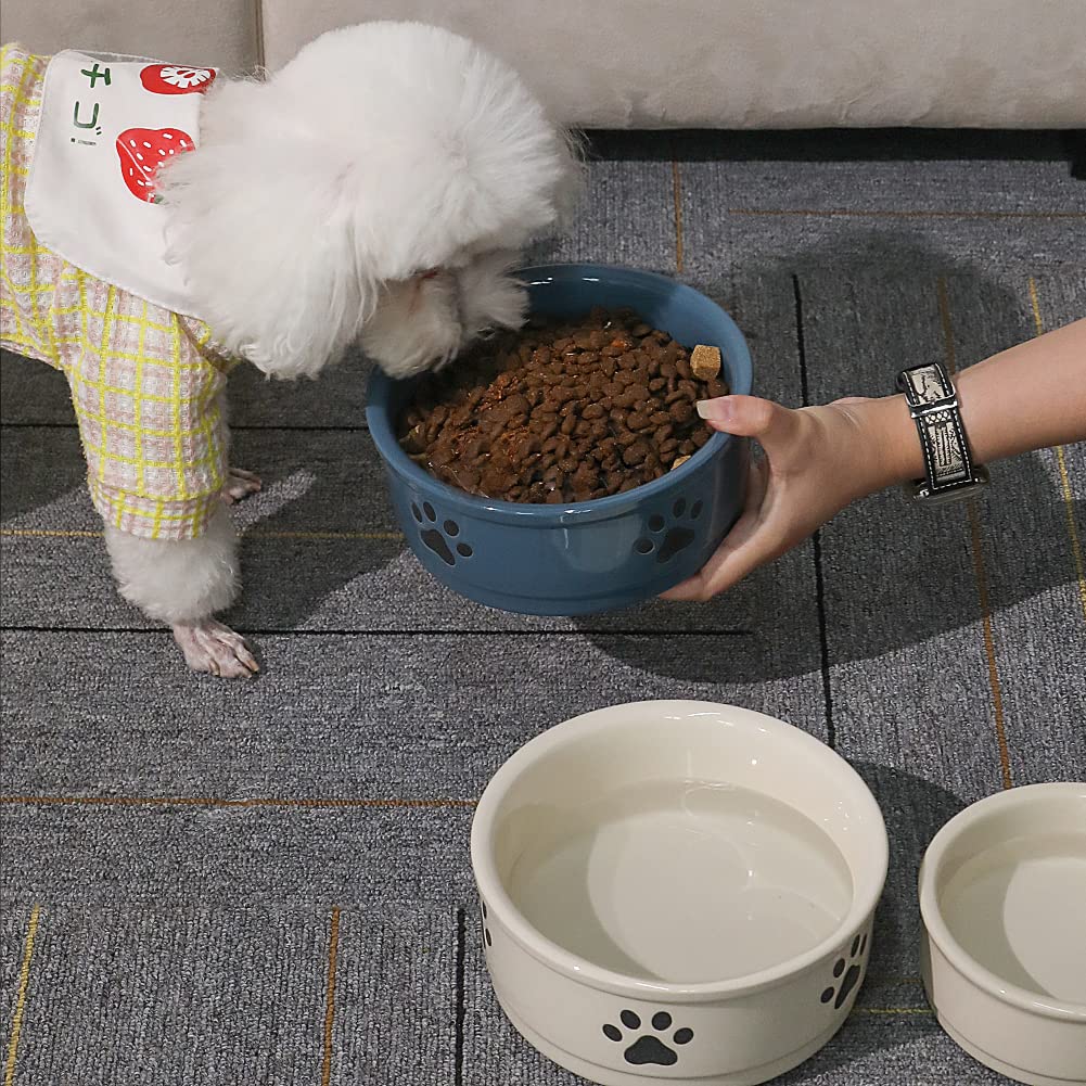 Sweejar ceramic dog bowl holding dry kibble for a pet meal.