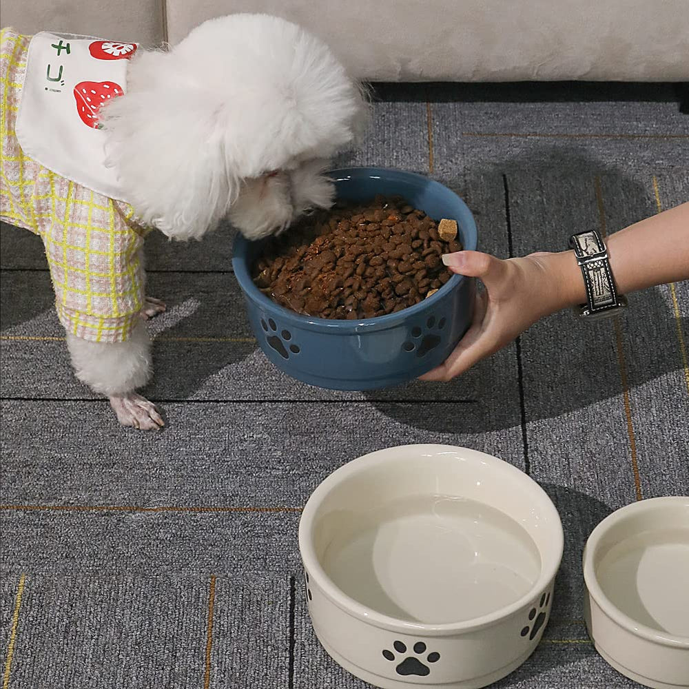 Sweejar ceramic dog bowl holding dry kibble for a pet meal.