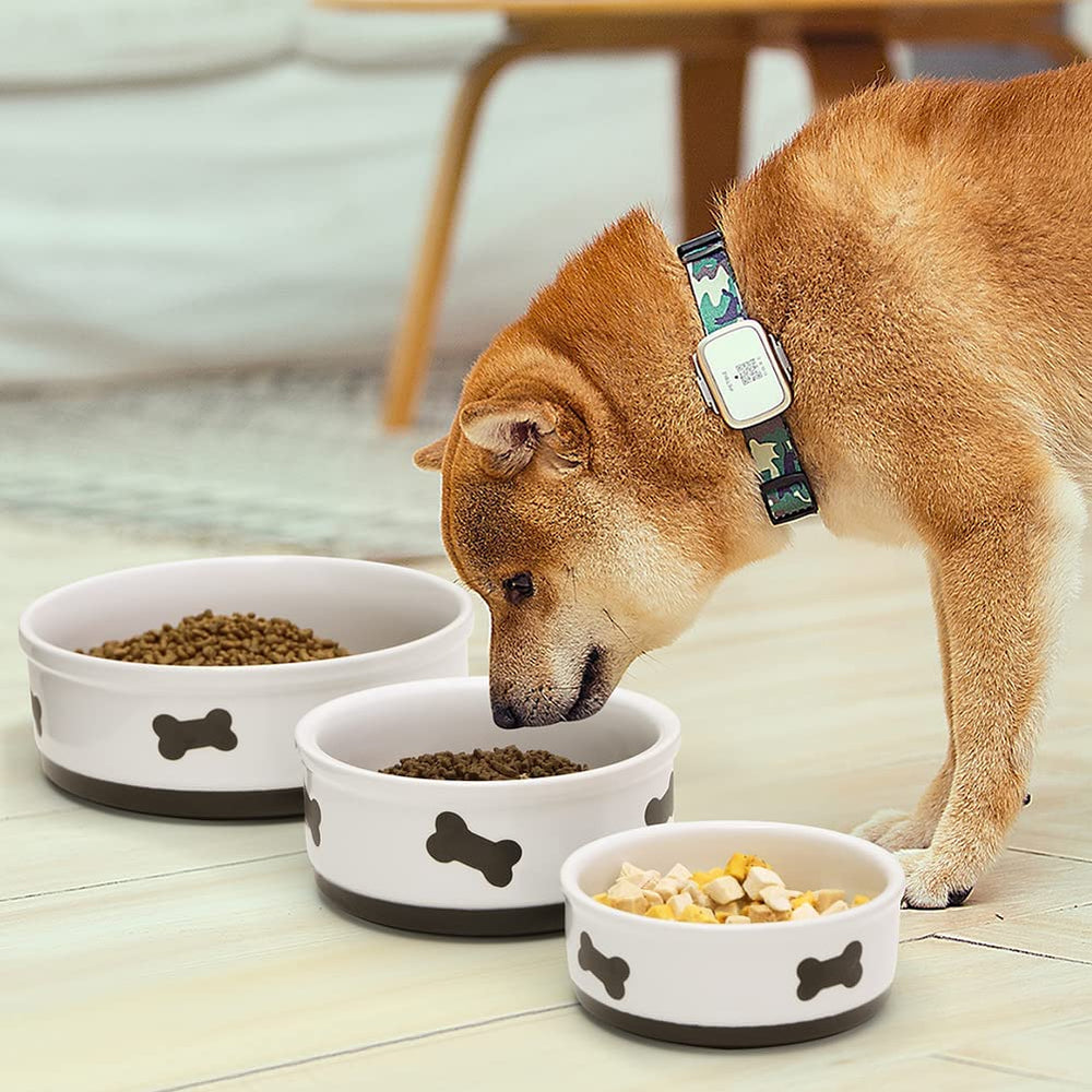 Sweejar Home ceramic dog bowl shown holding dry kibble.