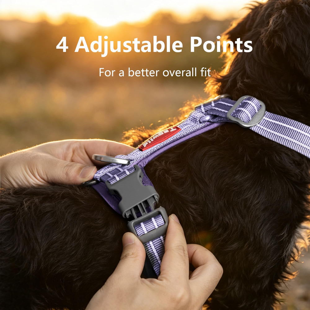 Tacwild dog harness close-up showing the back leash attachment ring.