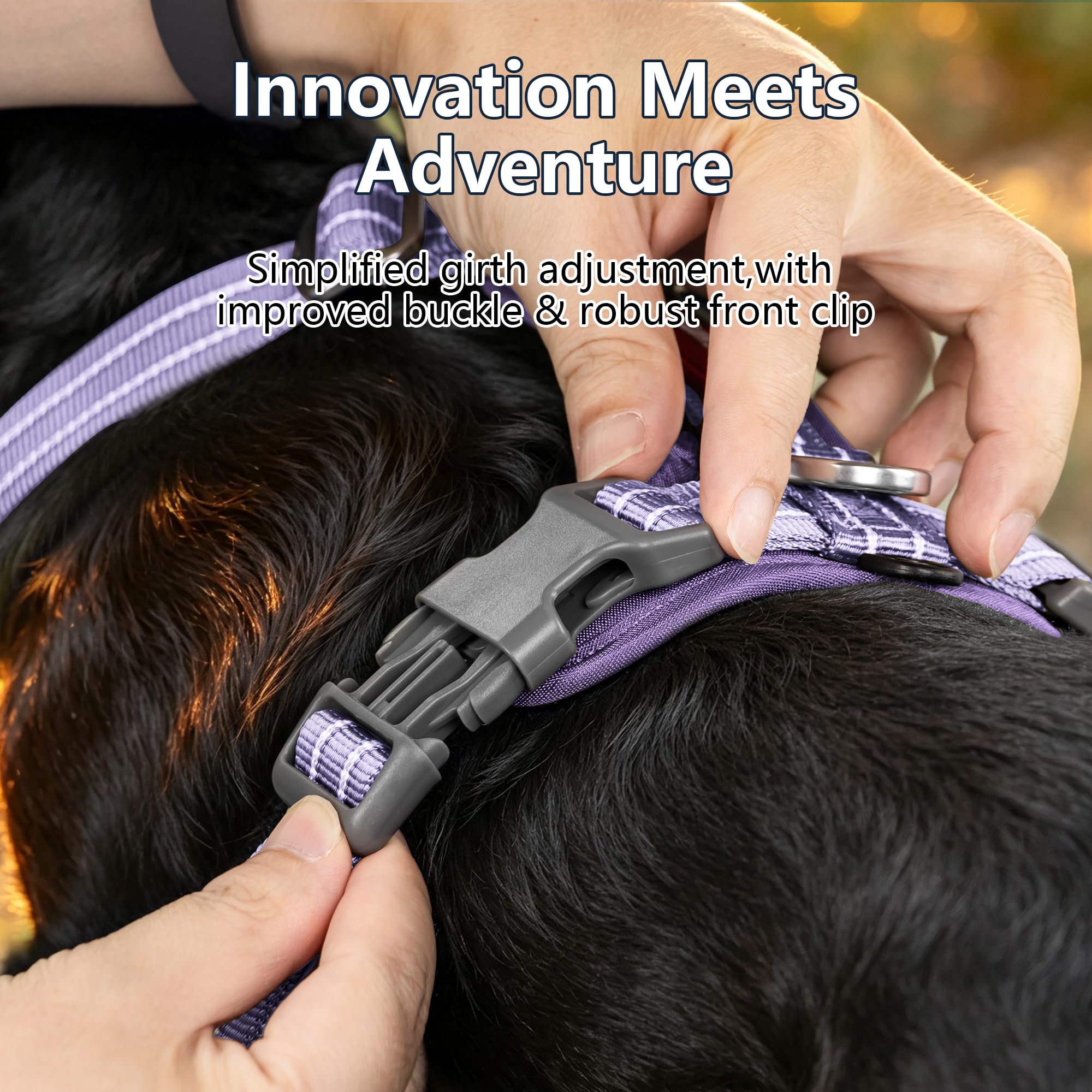Tacwild dog harness close-up showing the front leash attachment ring.