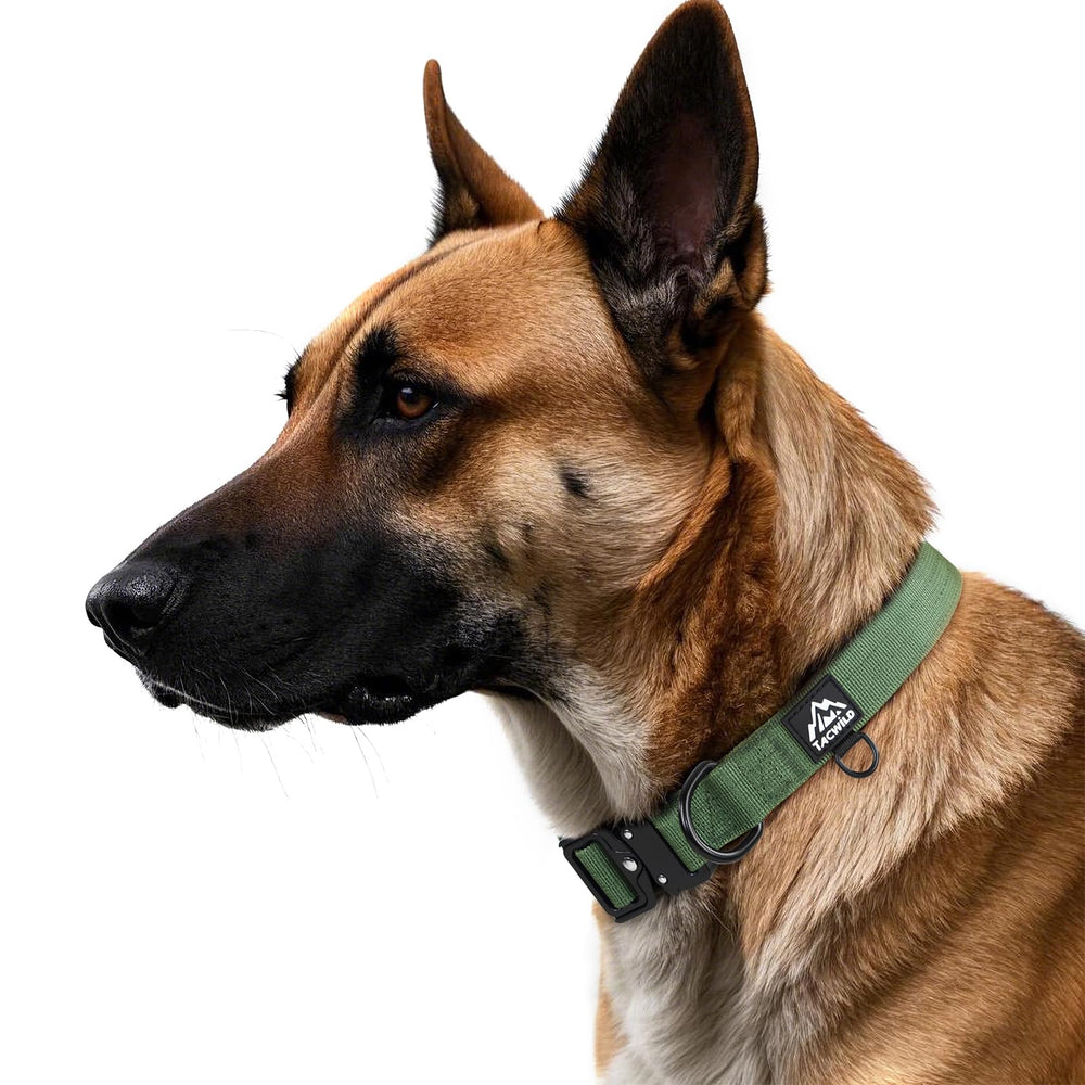 Tacwild XL dog collar quick-release metal buckle close-up.