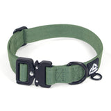 Tacwild XL dog collar shown from the front.