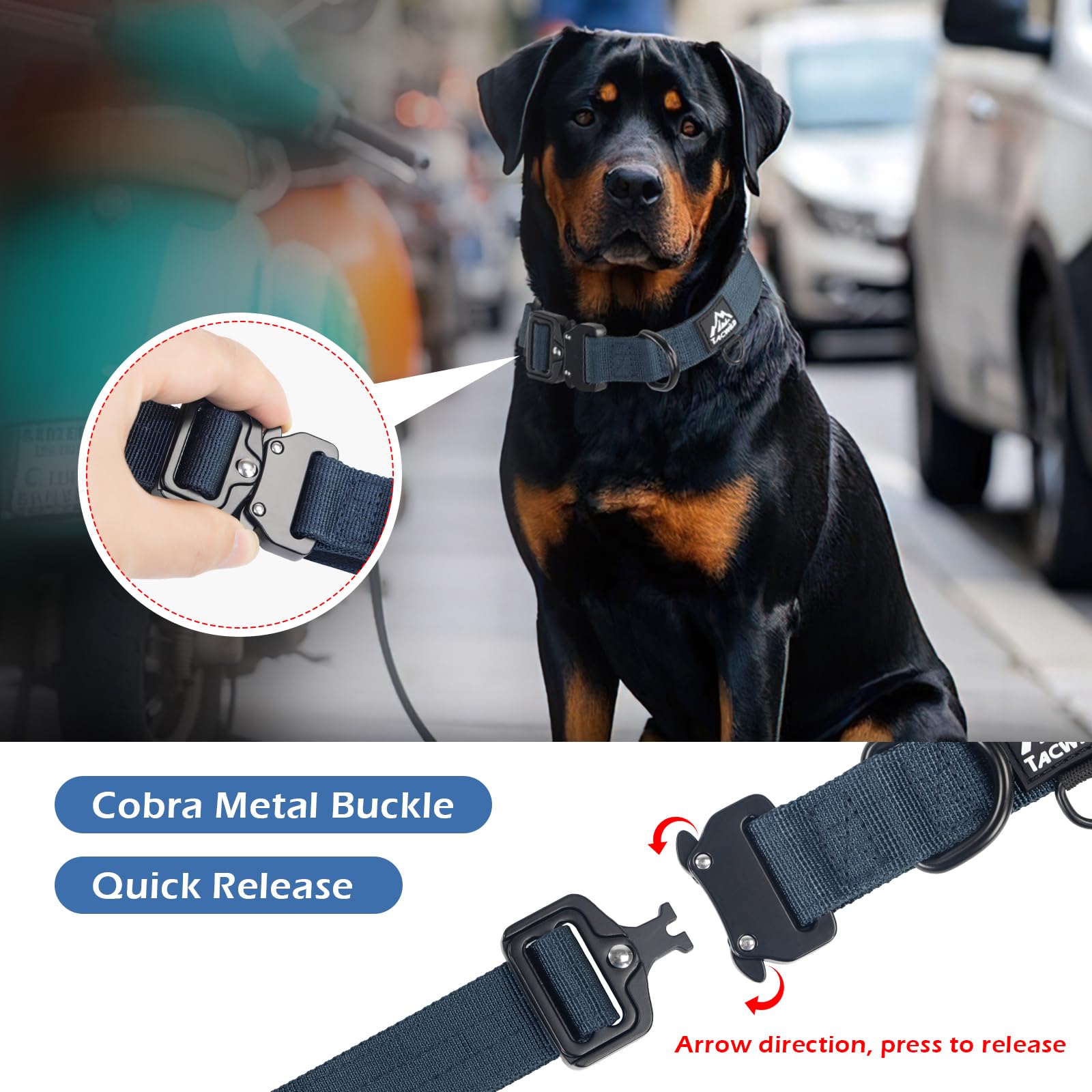 Tacwild XL dog collar metal D-ring for leash attachment.