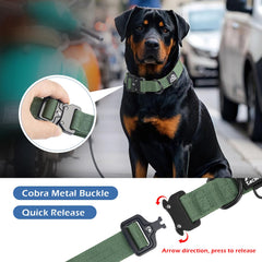 Tacwild XL dog collar metal D-ring detail for leash attachment.