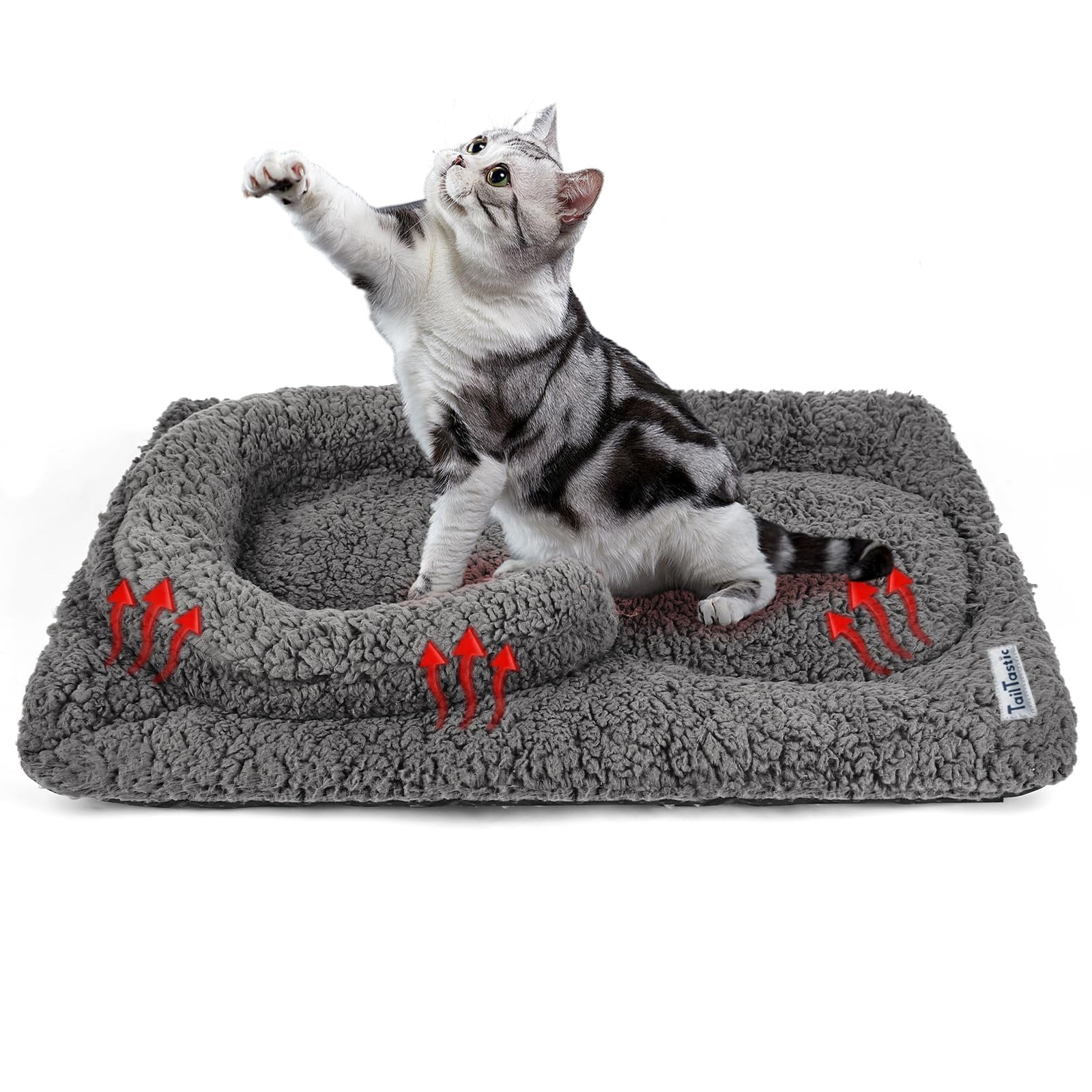 TailTastic self-warming cat bed shown from the front.